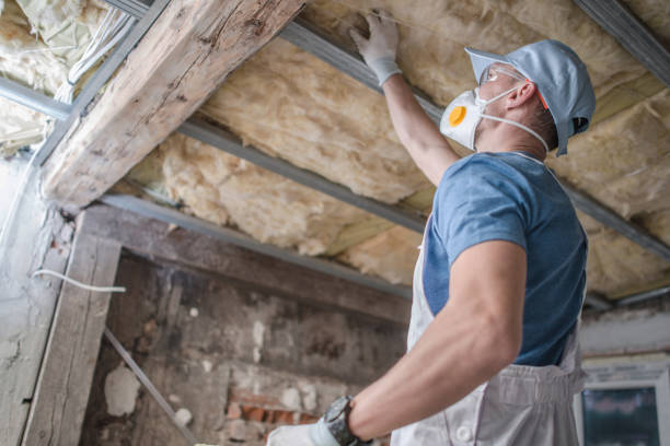 Best Types of Insulation in Montverde, FL