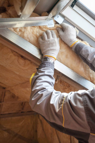 Best Insulation Maintenance and Repair in Montverde, FL