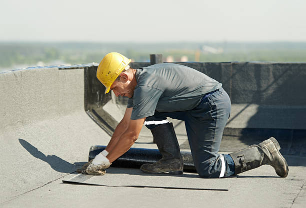  Montverde, FL Insulation Contractor Pros