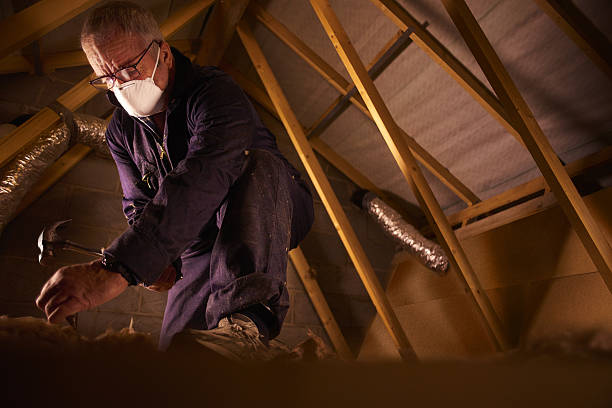 Best Specialty Insulation in Montverde, FL